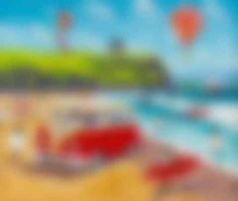 "ANDY PATS WANDERING SHEEP ENJOYING A DAY OUT AT CASTLEROCK BEACH" (preview)