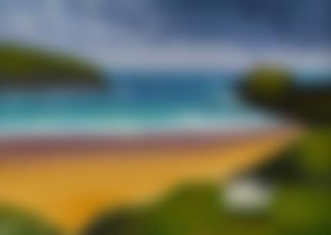 "SHEEP AT SILVER BEACH" (preview)