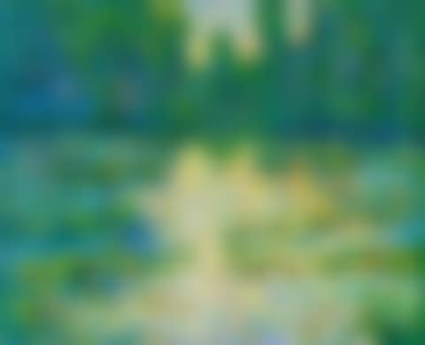 "WATER LILE"S" (preview)