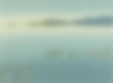 "ROSEAUX" (preview)