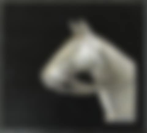 "HEAD OF A HORSE" (preview)
