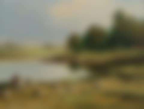 "AT MAHEE ISLAND, STRANGFORD LOUGH, COUNTY DOWN" (preview)
