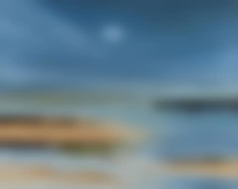 "IN THE MISTY MOONLIGHT" (preview)