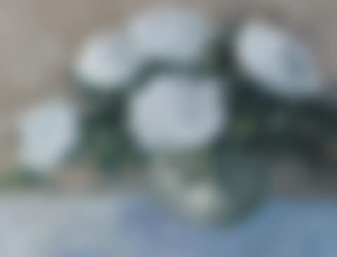 "WHITE ROSES" (preview)