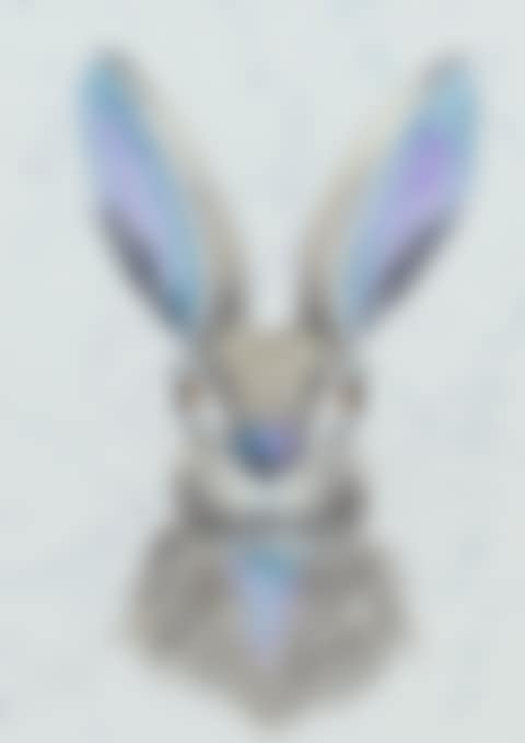 "CURIOUS HARE" (preview)