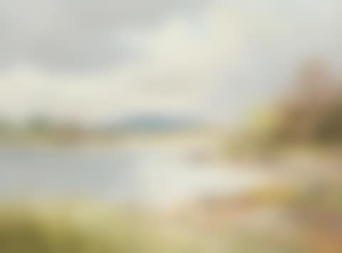 "COVE ON LOUGH ERNE, COUNTY FERMANAGH" (preview)