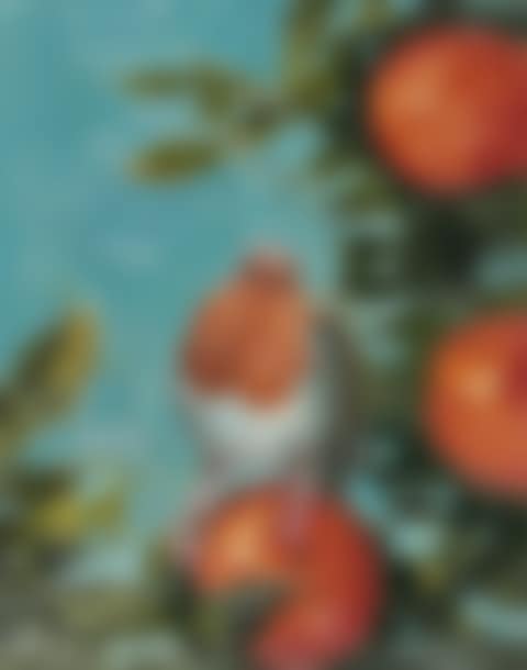 "THE FAT ROBIN" (preview)