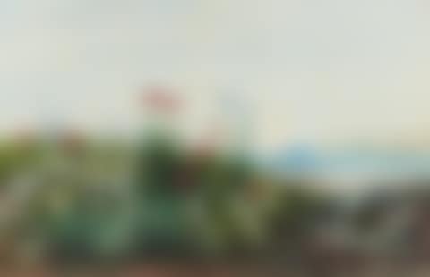 "BANK OF WILD FLOWERS ON THE NORTH COAST" (preview)