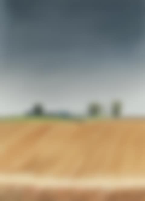 "SUMMER LANDSCAPE" (preview)