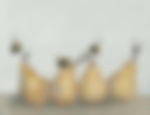 "PEARS AND BEES" (preview)