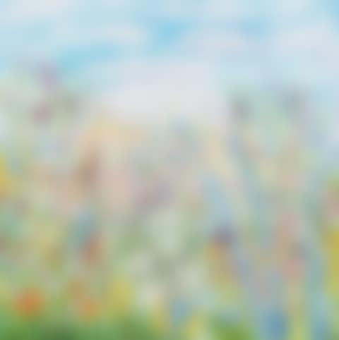 "WILD FLOWERS IN THE MEADOW" (preview)