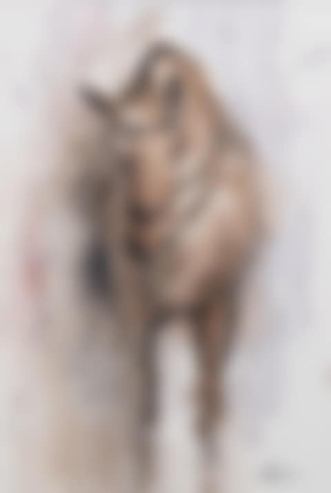 "BROWN HORSE" (preview)