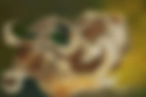 Untitled (preview)