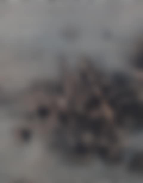 Untitled (preview)