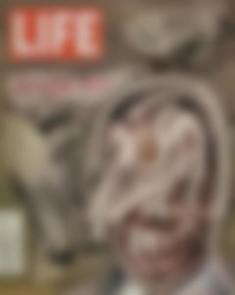 UNTITLED (LIFE) (preview)