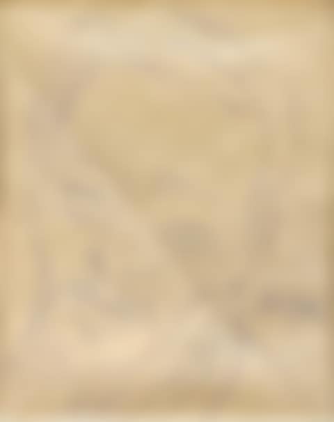 Untitled (Self Portrait) (preview)