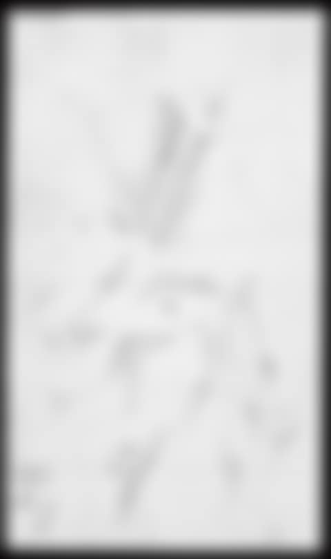 A Set of Three Untitled Drawings (preview)