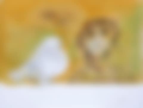 Untitled (preview)