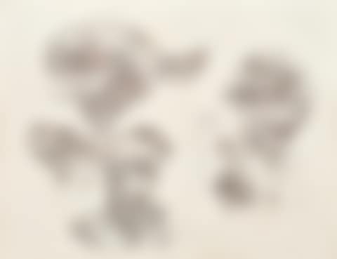 Untitled (preview)