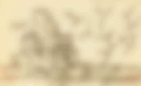 UNTITLED (preview)