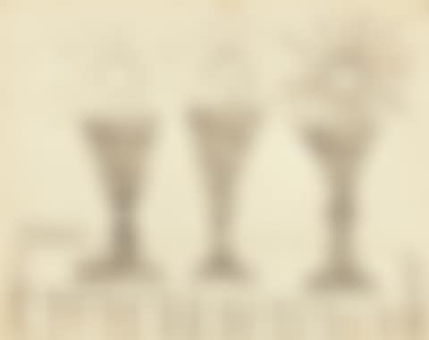 UNTITLED (STILL LIFE) (preview)