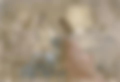 The tea (preview)