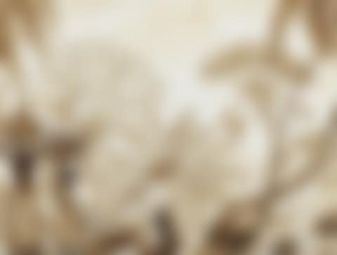 Two African Women Walking in a Lush Landscape (preview)