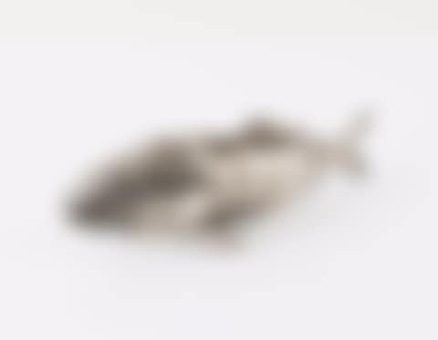Moving silver fish (preview)