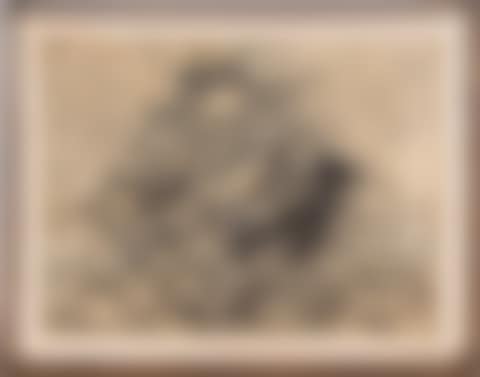 Fish (preview)