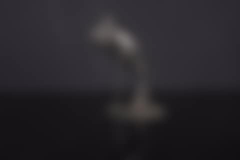 Cigogne au repos (preview)
