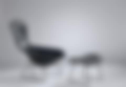 Bird armchair and its ottoman (preview)