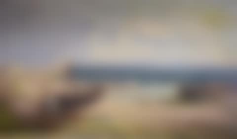 Boat on the shore (preview)