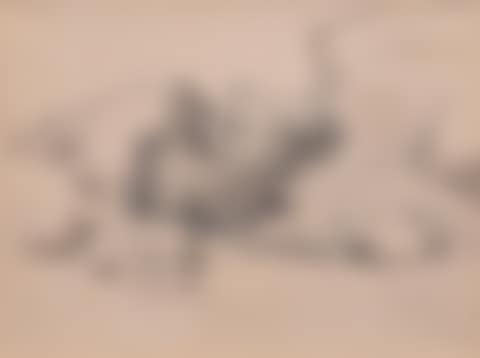 Landscape (preview)