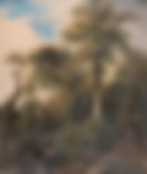 Tree study (preview)