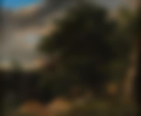 Shepherds in the forest (preview)