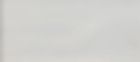 White composition (preview)