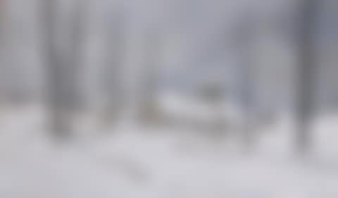 Village sous la neige (preview)