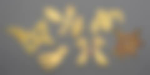 Falling Bird, Bird Mask, Terrestrial Letter, Flying Skull, Star and Leaf (preview)