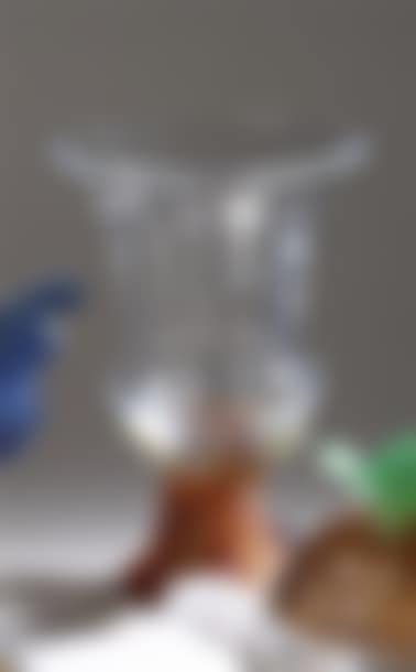 Lizard and snails  (preview)