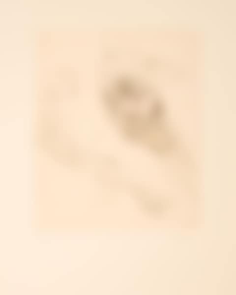 The egg (preview)
