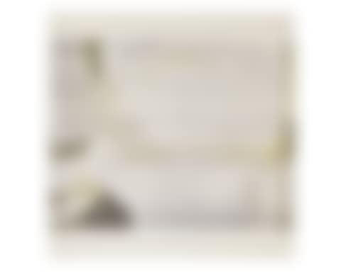 Studies for Holograms (a-e) (preview)