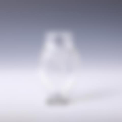 VENUS VASE (preview)