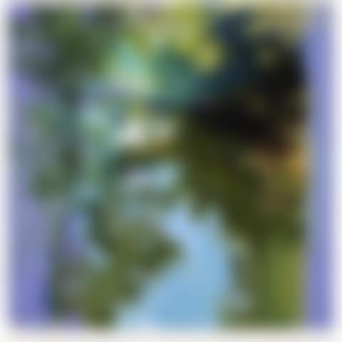 GREEN BRIDGE (preview)