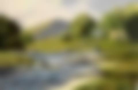 A STREAM IN THE PARTRY MOUNTAINS, COUNTY MAYO (preview)
