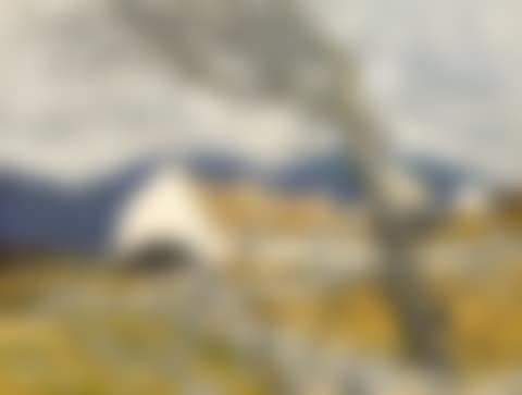 THE STONY FIELDS OF KERRY (preview)