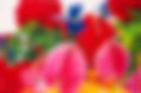 UNTITLED (preview)