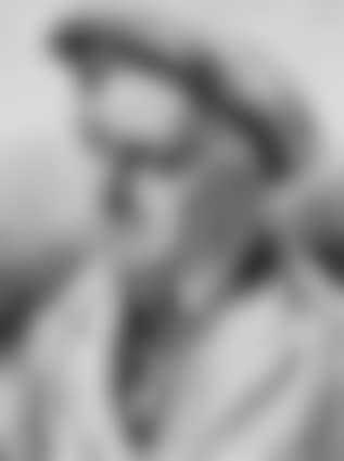 PORTRAIT OF A MAN IN A PEAKED CAP (preview)