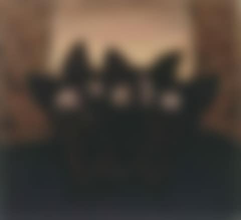 THE POTTED PLANT (preview)