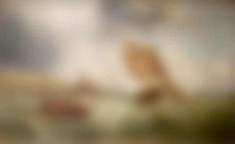 DUTCH FISHING BOAT OFF A FRENCH PORT (preview)