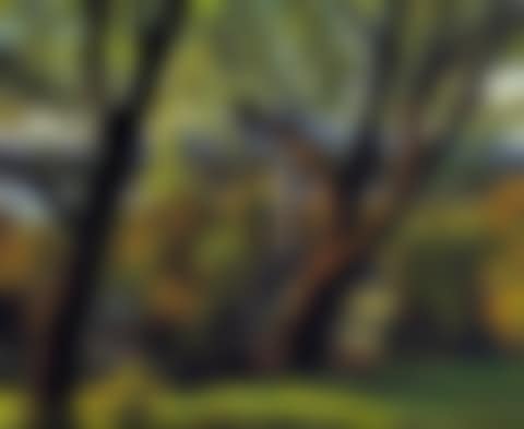 VIEW OF A CHURCH, LAKE AND HILLS THROUGH TREES (preview)